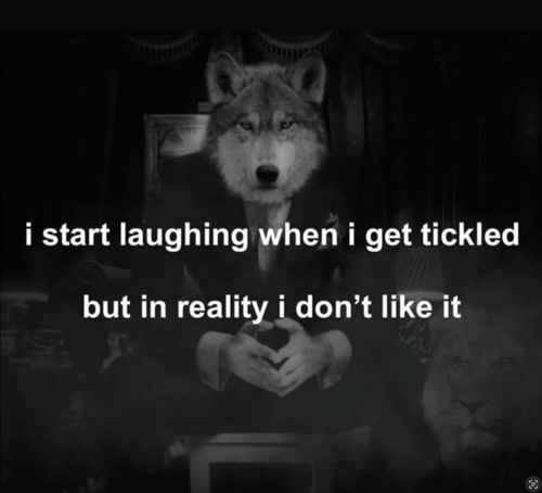 alpha
